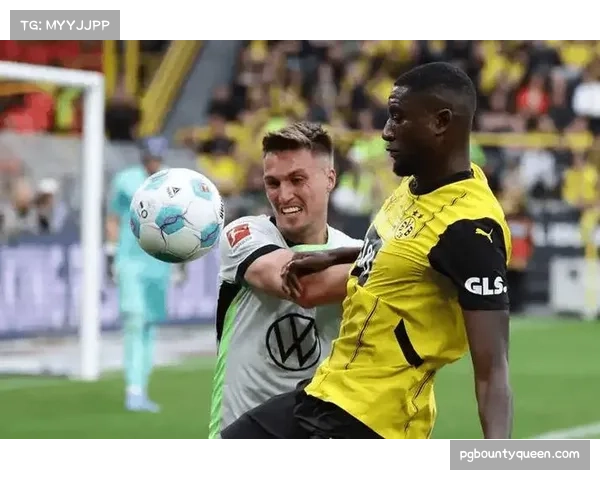 阿莫拉6球1点球,沃尔夫斯堡前锋禁区终结能力尚可 阿莫拉6球1点球,沃尔夫斯堡前锋禁区终结能力尚可